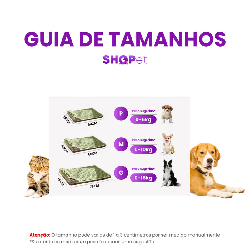 Sofa-Cama Ortopédico com Travesseiro para Pets